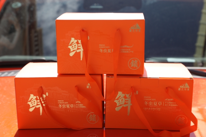 原鲜冬虫夏草礼盒