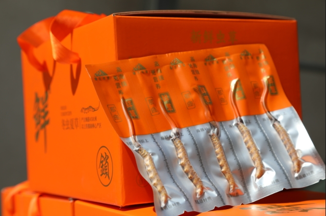 冻干新鲜虫草礼盒