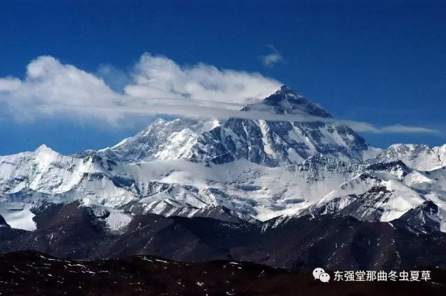 当雄县第二届“相约纳木湖畔·寻觅虫草之旅”盛大开幕！