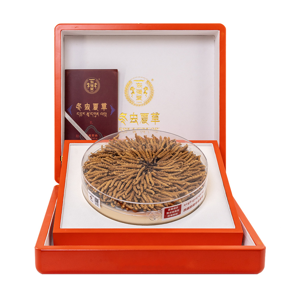 东强堂冬虫夏草礼盒