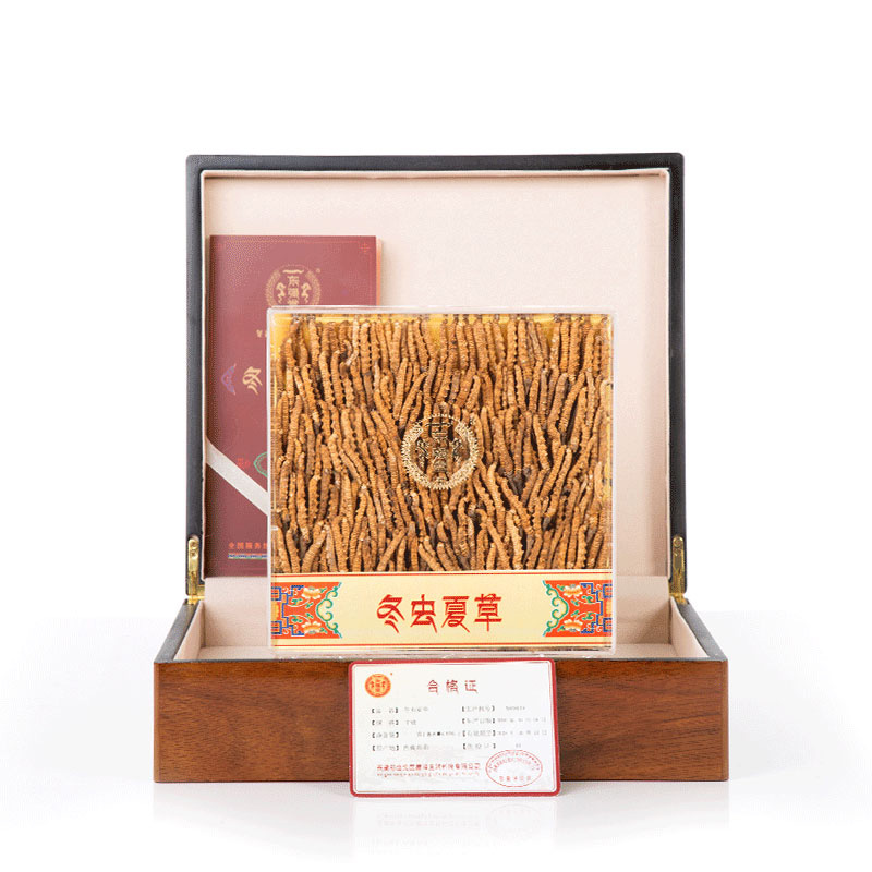 东强堂王级冬虫夏草礼盒