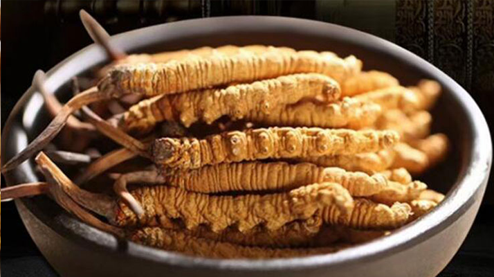 冬虫夏草对孕妇有危害吗？