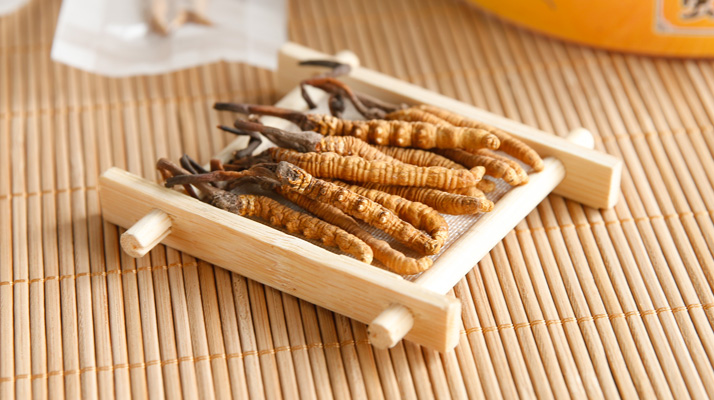 2025年行情，冬虫夏草多少钱一克啊？