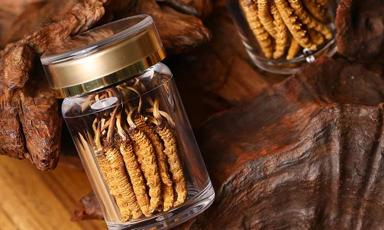 冬虫夏草官方品牌排行榜：东强堂领跑那曲源头品质-东强堂官网