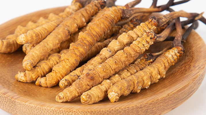 2025最新全國(guó)冬蟲(chóng)夏草價(jià)格走勢(shì)