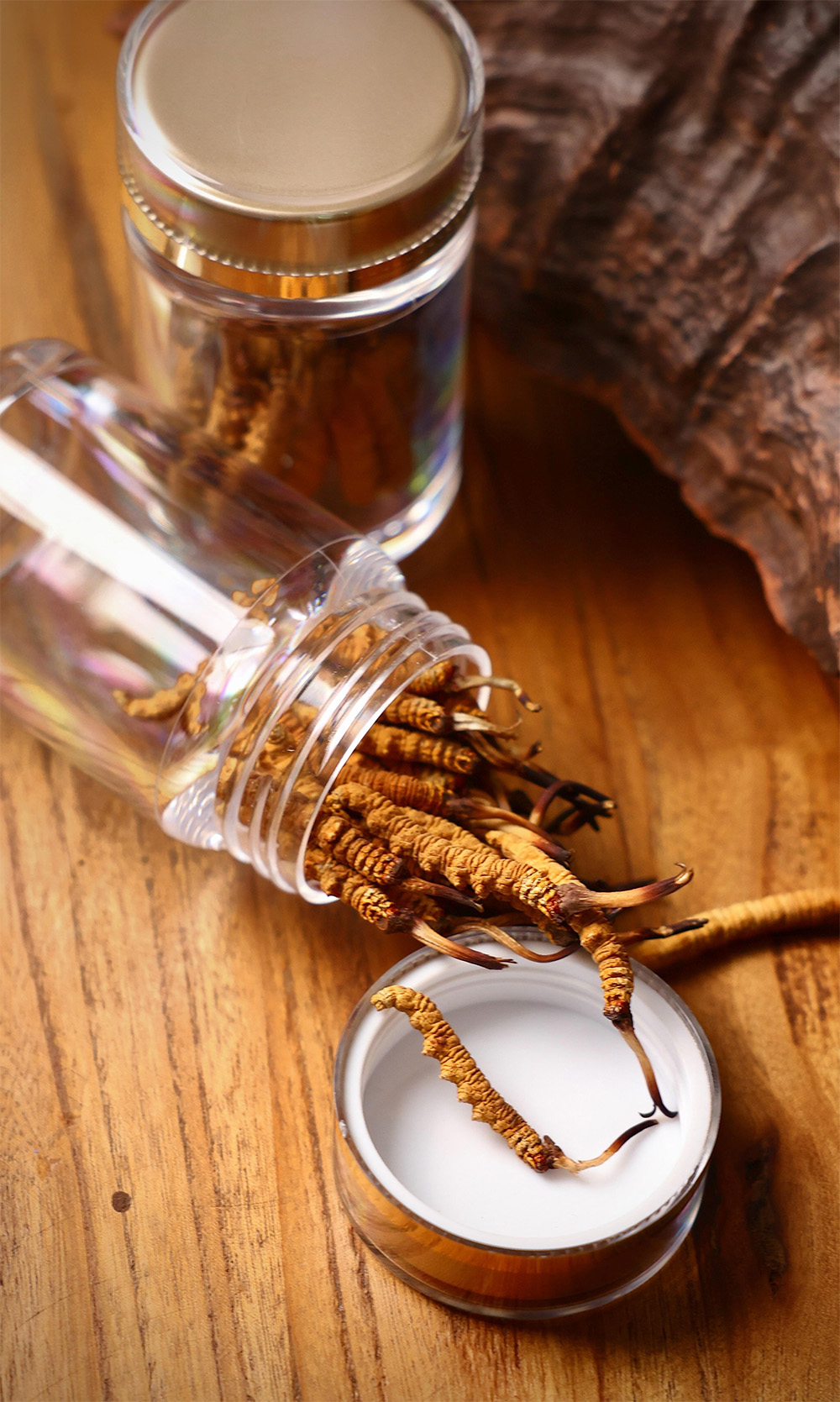 东强堂干虫草散装 罐装