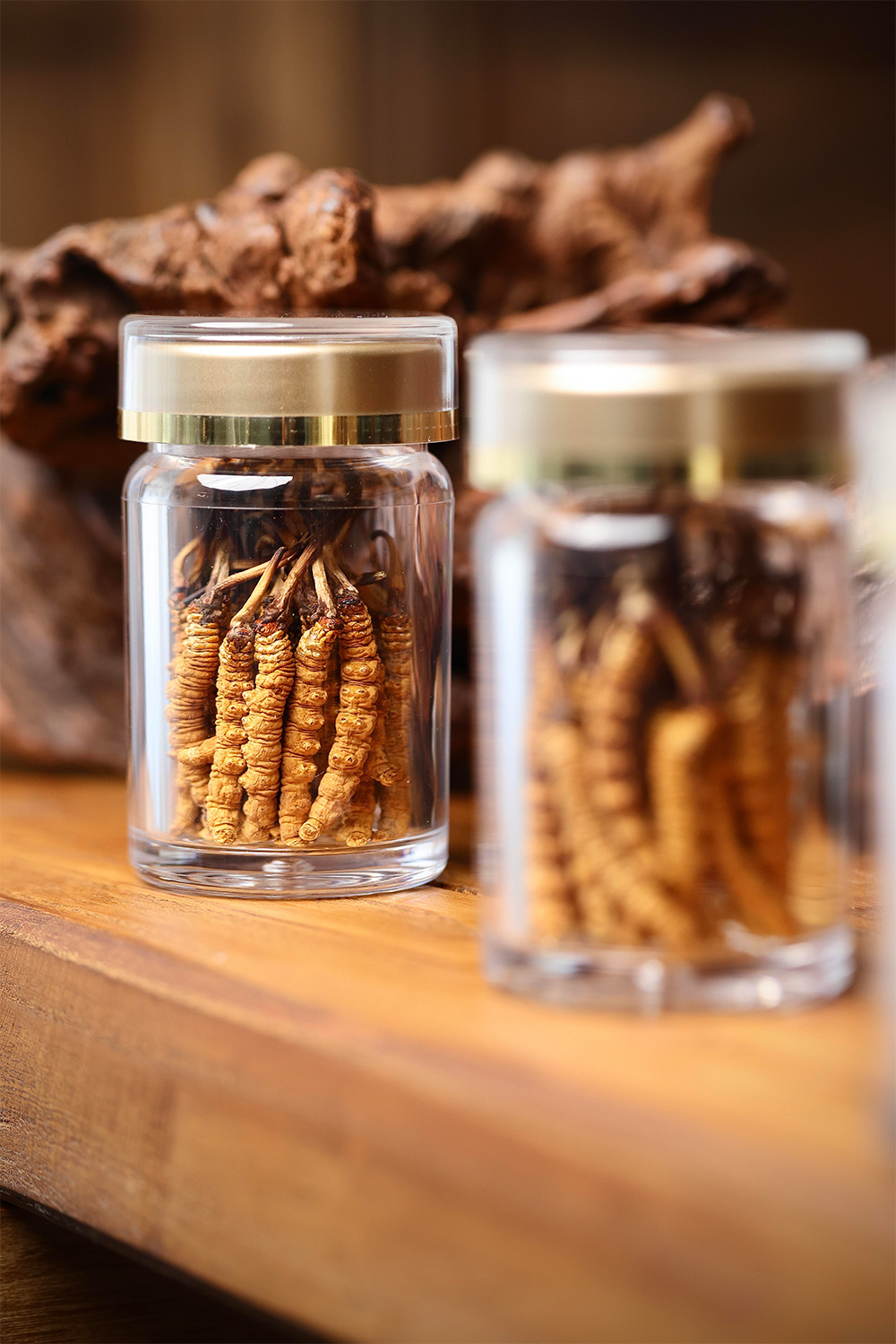 东强堂干虫草散装 罐装