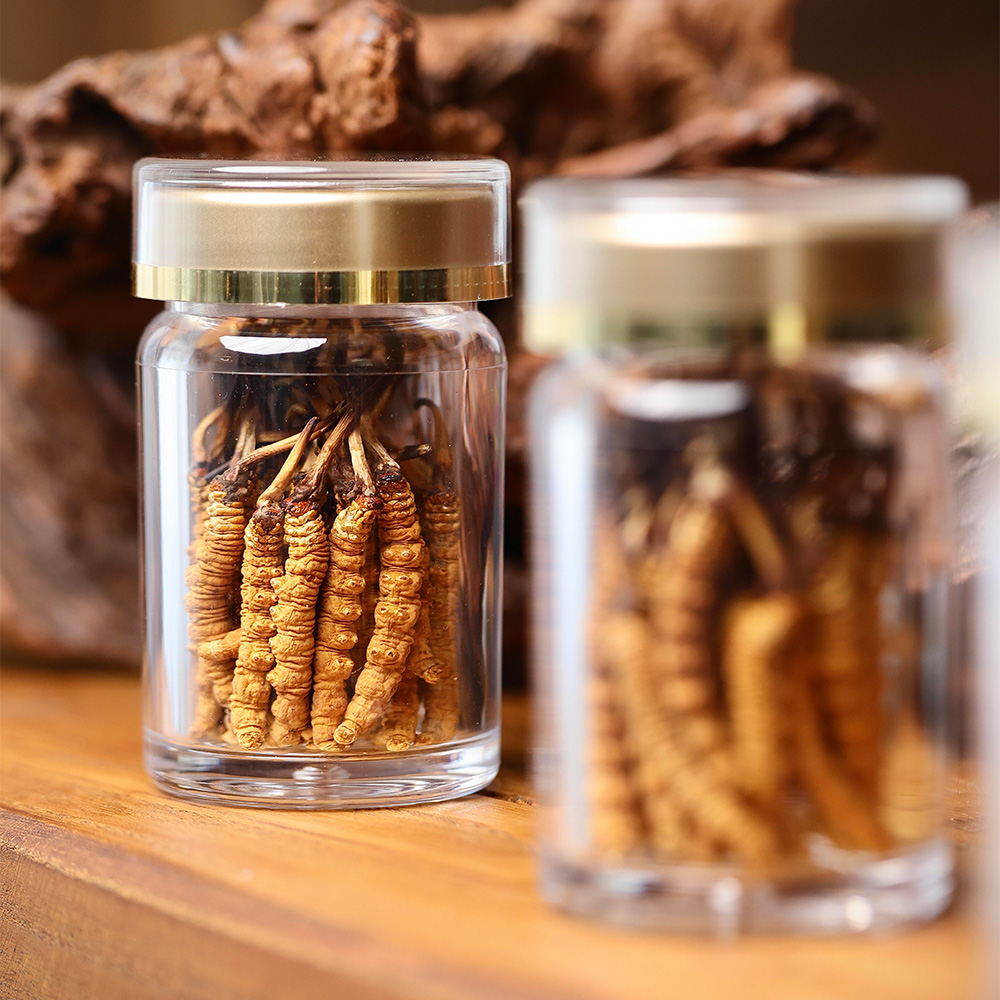 东强堂干虫草散装 罐装-东强堂官网