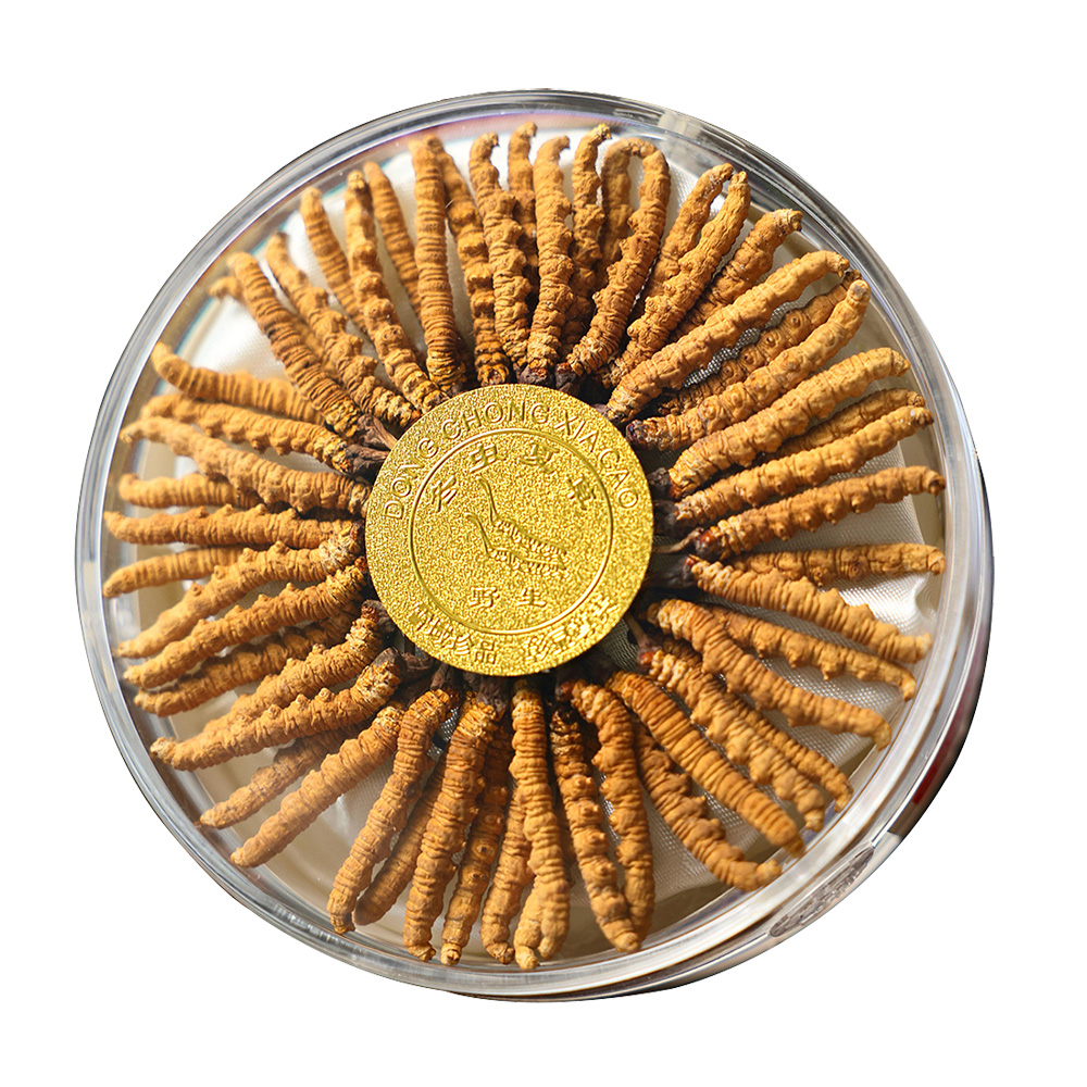 东强堂干虫草散装 盘装-东强堂官网