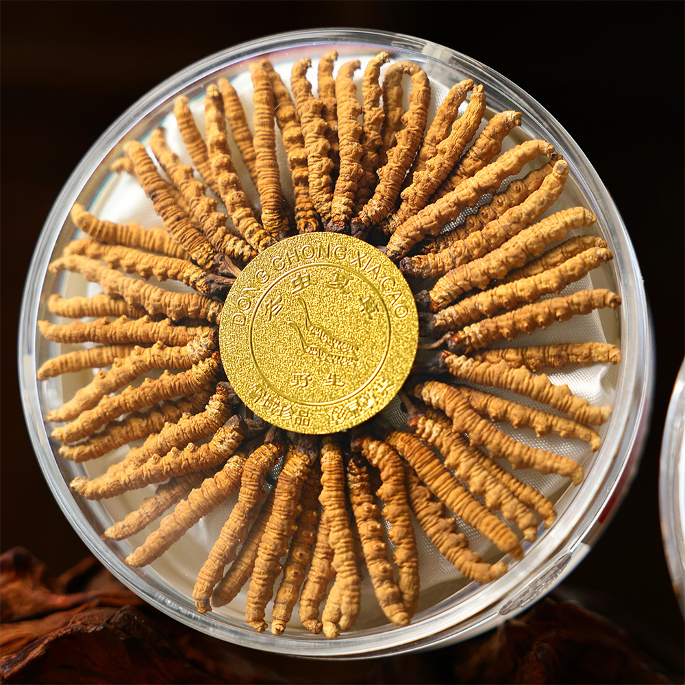 东强堂干虫草散装 盘装-东强堂官网