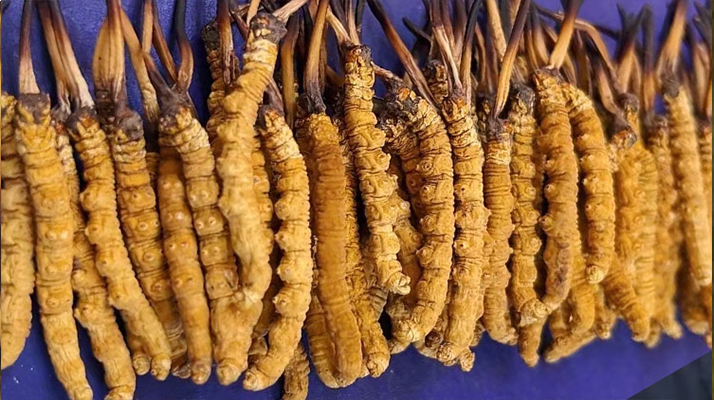 1767839394107001.jpg 77.jpg