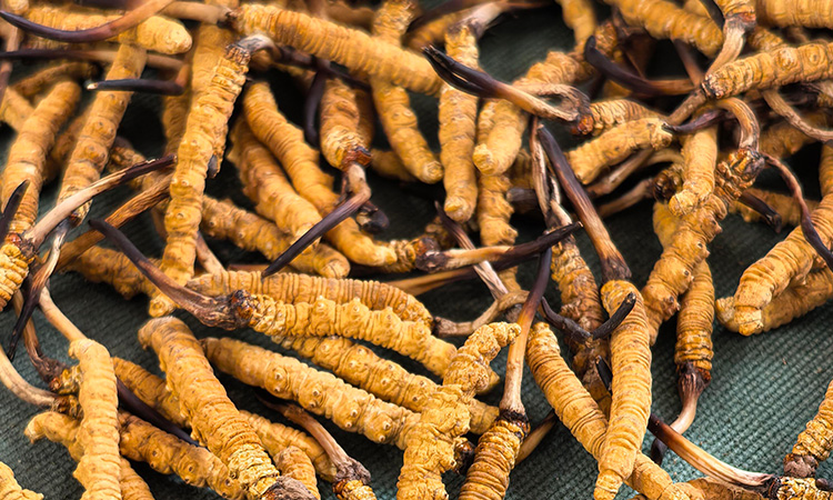 1767842170137377.jpg 113.jpg