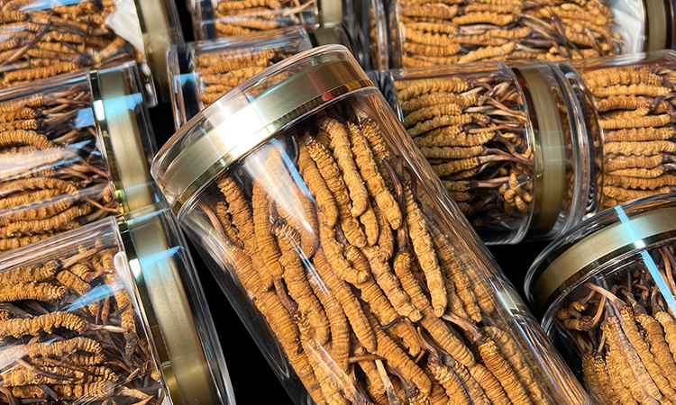 1768211454159533.jpg 135.jpg