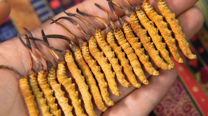 1768530694142685.jpg 57.jpg